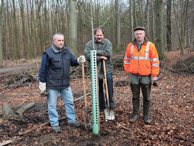 Baumpflanzaktion im Königsdorfer Wald am 01. März 2008